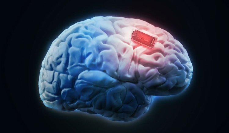 Импланты для улучшения памяти уже можно использовать. И они работают!