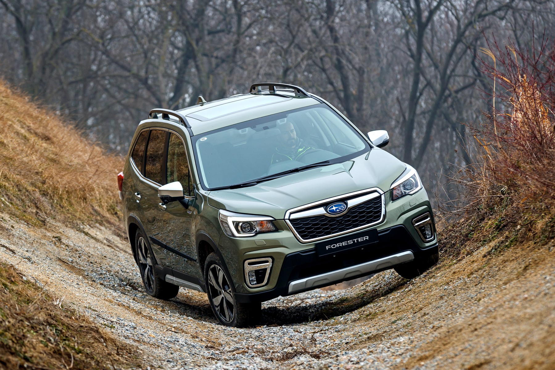 Дымят и чахнут: Subaru отзывает в России кроссоверы Forester
